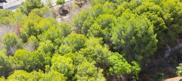 2 Schlafzimmer Villa in La Marina, Spain, Nr. 170263 48