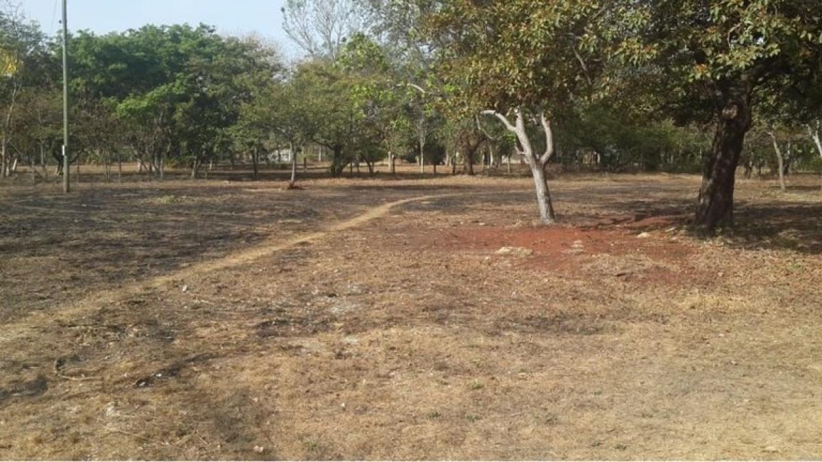  Land in Liberia, Costa Rica No. 1785