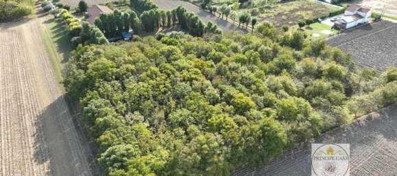 3-salle Entrepôt à Padua, Italy No. 176987 5