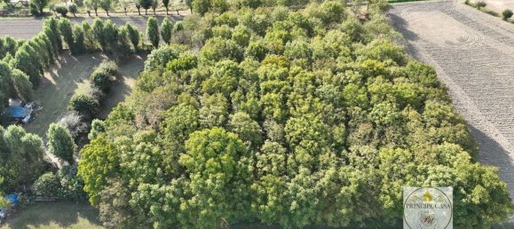 3-salle Entrepôt à Padua, Italy No. 176987 4