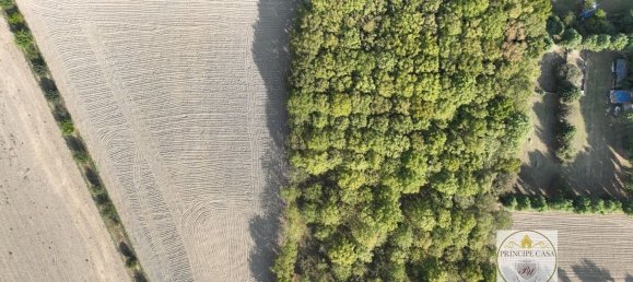 3-salle Entrepôt à Padua, Italy No. 176987 7