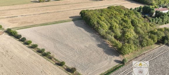 3-salle Entrepôt à Padua, Italy No. 176987 6