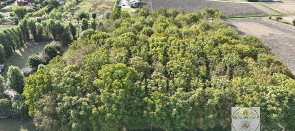 3-salle Entrepôt à Padua, Italy No. 176987 3