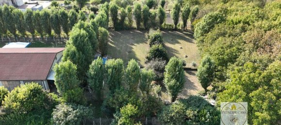 3-salle Entrepôt à Padua, Italy No. 176987 2