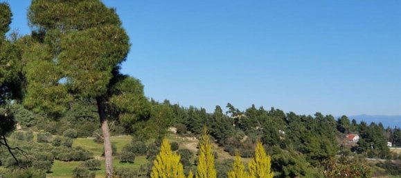 3 bedrooms Villa in Chalkidiki, Greece No. 1437 4