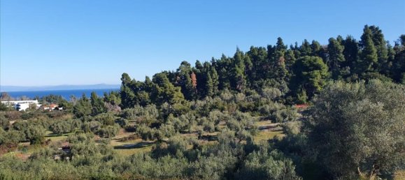 3 bedrooms Villa in Chalkidiki, Greece No. 1437 5