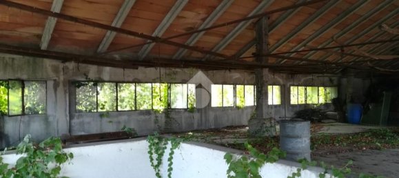 Entrepôt à Turbigo, Italy 1440m² No. 128136 22