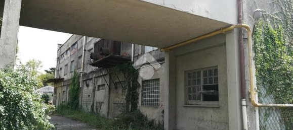 Entrepôt à Turbigo, Italy 1440m² No. 128136 41