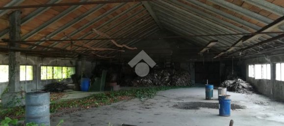 Entrepôt à Turbigo, Italy 1440m² No. 128136 21