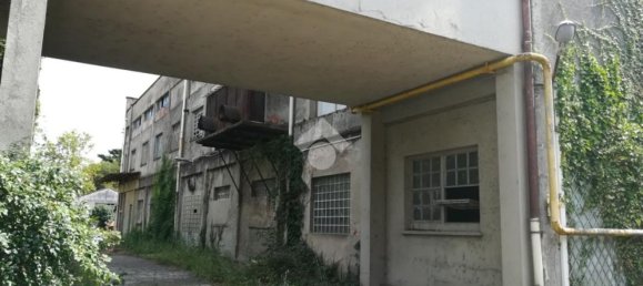 Entrepôt à Turbigo, Italy 1440m² No. 128136 18