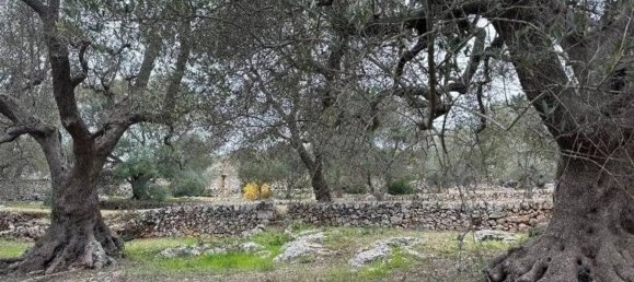 Дом с 2 спальнями в Остуни, Италия № 345459 11