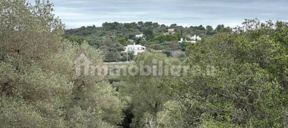 Дом с 2 спальнями в Остуни, Италия № 345459 6