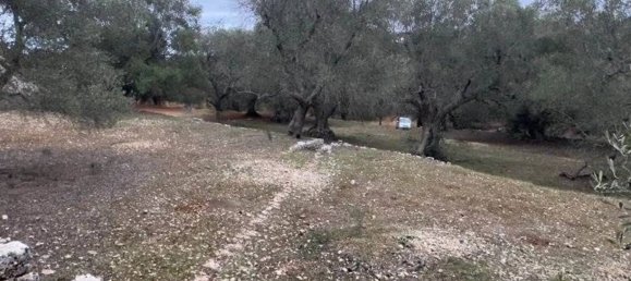 Дом с 2 спальнями в Остуни, Италия № 345459 8