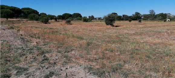 Grundstück in Montijo, Portugal 14500m², Nr. 92688 4