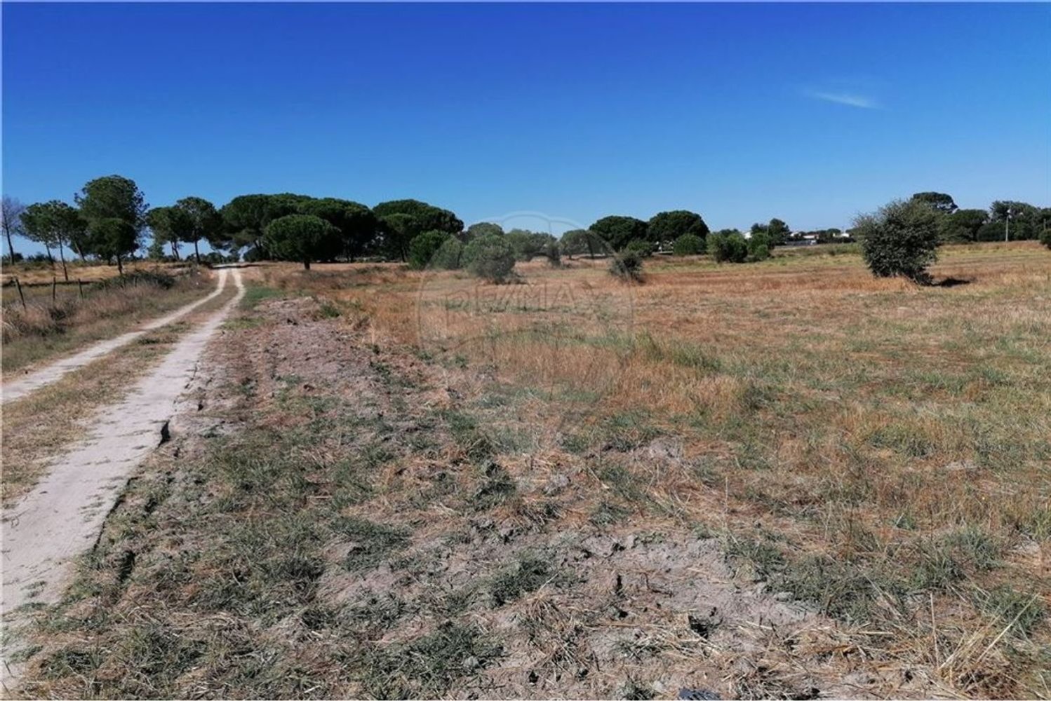 Grundstück in Montijo, Portugal 14500m², Nr. 92688