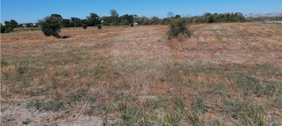 Grundstück in Montijo, Portugal 14500m², Nr. 92688 3