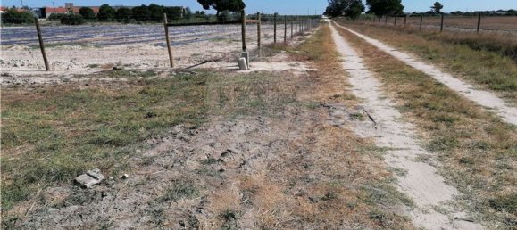 Grundstück in Montijo, Portugal 14500m², Nr. 92688 2