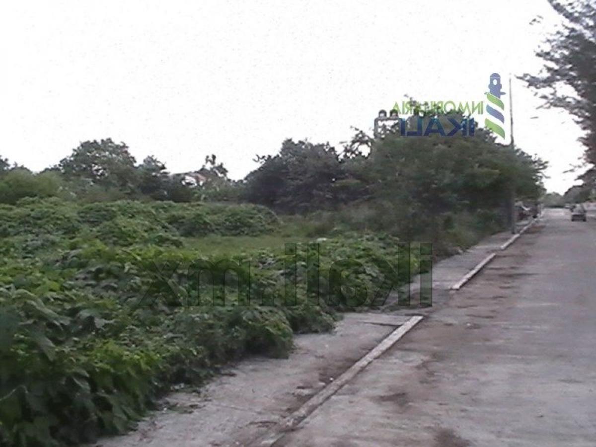 Terrain à Veracruz, Mexico No. 204335