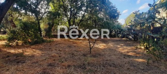 1 غرف نوم منزل في Pedara, Italy رقم 324300 9