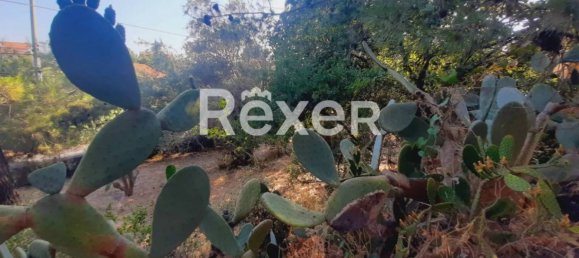 1 غرف نوم منزل في Pedara, Italy رقم 324300 19