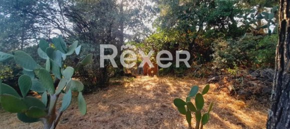 1 غرف نوم منزل في Pedara, Italy رقم 324300 11