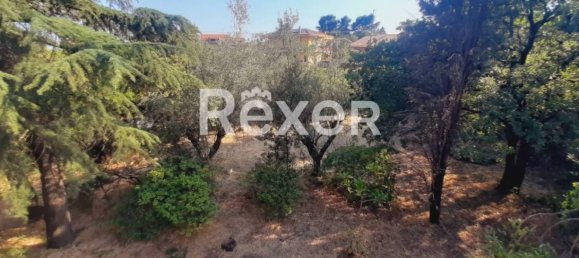 1 غرف نوم منزل في Pedara, Italy رقم 324300 8