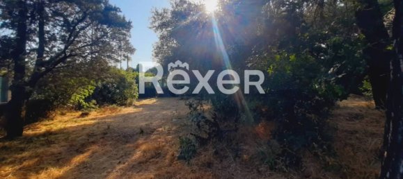 1 غرف نوم منزل في Pedara, Italy رقم 324300 18