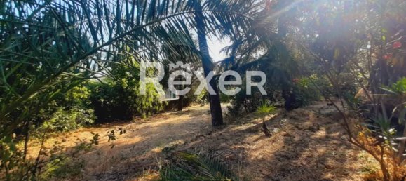 1 غرف نوم منزل في Pedara, Italy رقم 324300 12