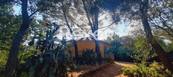 1 غرف نوم منزل في Pedara, Italy رقم 324300 21