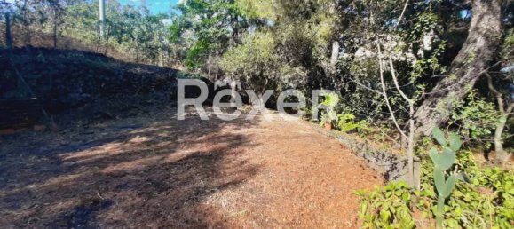 1 غرف نوم منزل في Pedara, Italy رقم 324300 15