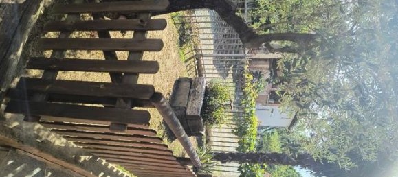 5 rooms House in Castelletto Cervo, Italy No. 291838 3