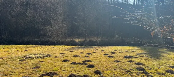 4 غرف نوم تاون هاوس في Oberbergischer, Germany رقم 209864 19