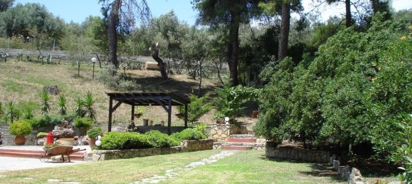 Propiedad comercial de 3 dormitorios en Chalkidiki, Greece No. 6906 18