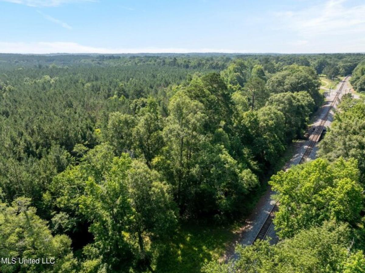 Grundstück in Seminary, USA, Nr. 541373