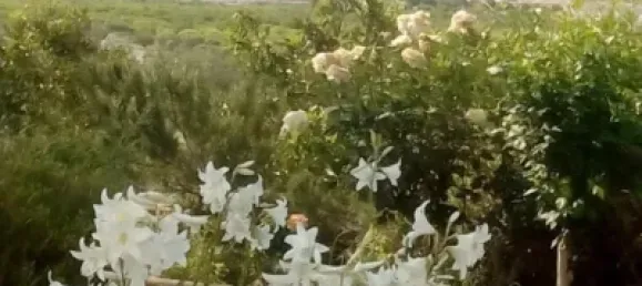 Дом с 3 спальнями в Альмерия, Испания № 34633 6