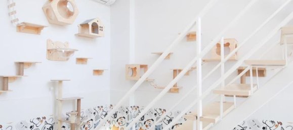 6 غرف نوم منزل في Chiang Mai, Thailand رقم 26981 9