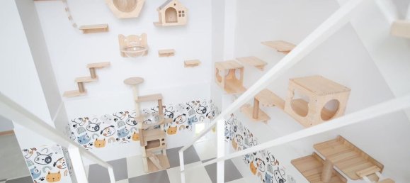 6 غرف نوم منزل في Chiang Mai, Thailand رقم 26981 8