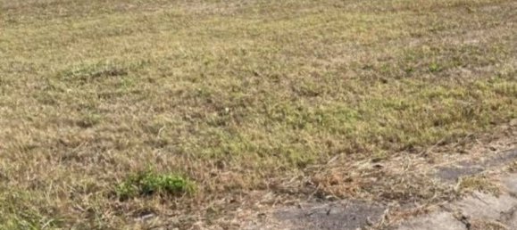 820m² Land in Pressana, Italy No. 324849 6