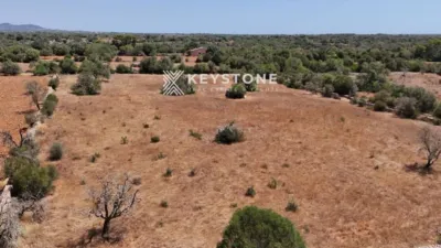 Grundstück in Santanyi, Spain 21000m², Nr. 211068