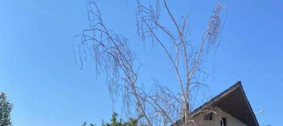 1 bedroom Villa in Cerveteri, Italy No. 183963 3