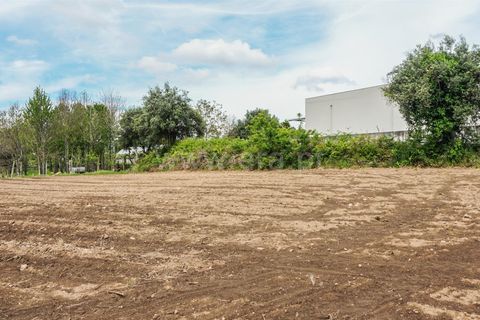  Land in Barcelos, Portugal No. 202269