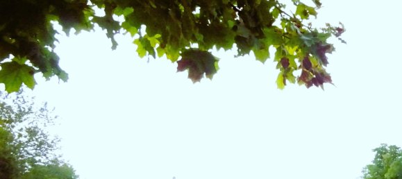  Land in Charenton-du-Cher, France No. 49713 2