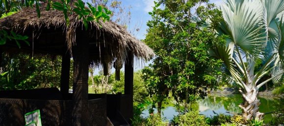 3 bedrooms House in Chiang Mai, Thailand No. 26948 22