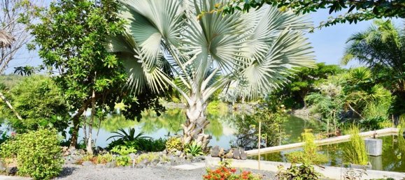 3 bedrooms House in Chiang Mai, Thailand No. 26948 24