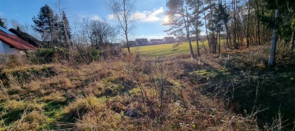  Land in Nurnberger Land, Germany No. 164798 2