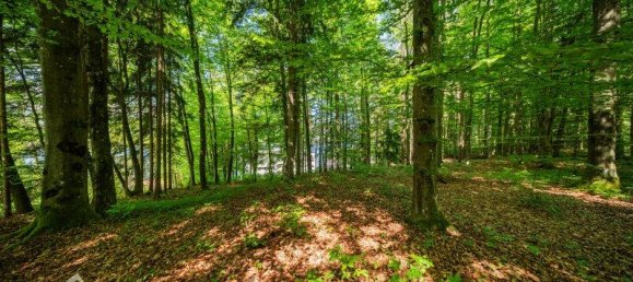 6432m² Land in Velden am Worther See, Austria No. 164209 14
