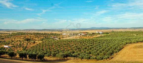 Adosado de 6 dormitorios en Elvas, Portugal No. 136208 20