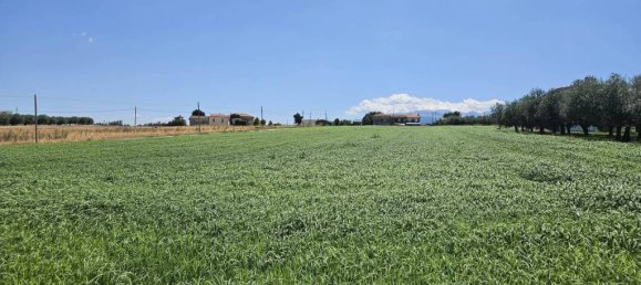 5540m² Land in Rosciano, Italy No. 283787 20