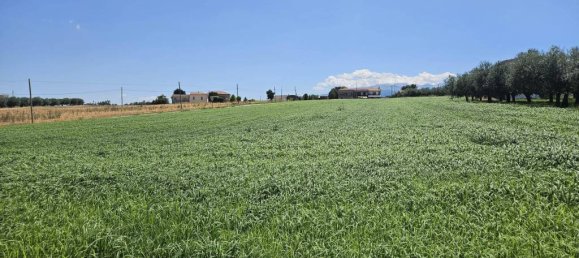 5540m² Land in Rosciano, Italy No. 283787 17