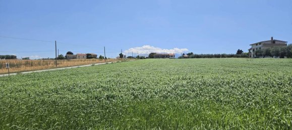 5540m² Land in Rosciano, Italy No. 283787 21